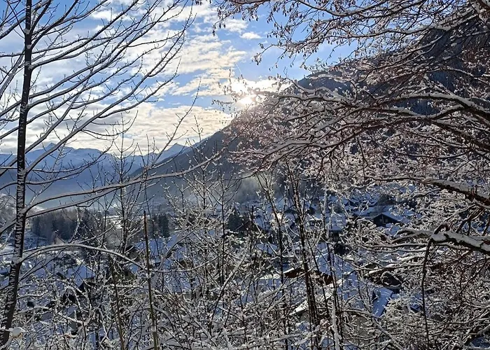 Apartmán Alexander *